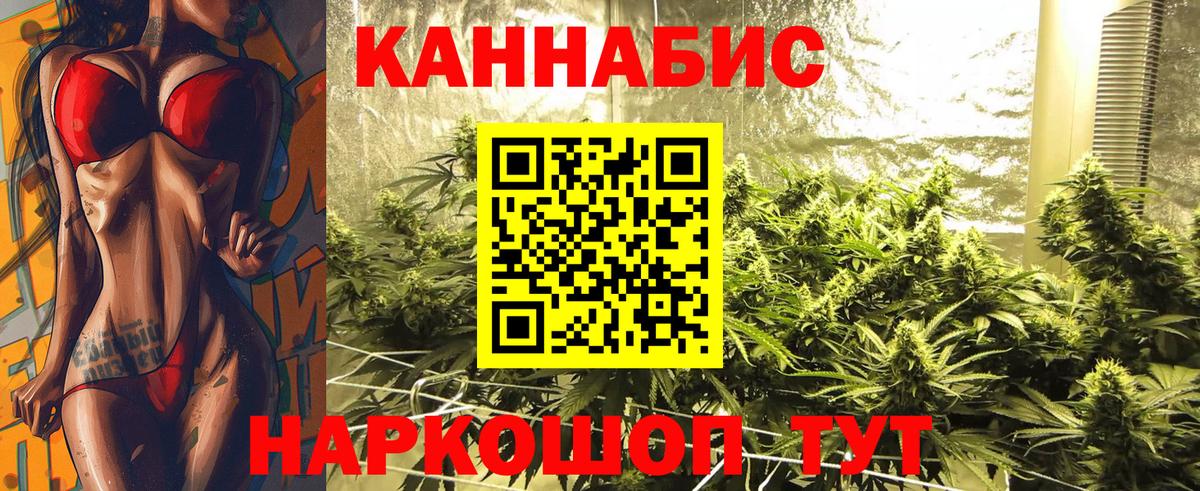 Бошки Шишки VHQ Котовск